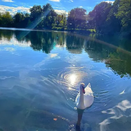 Seestuben מלון 3*