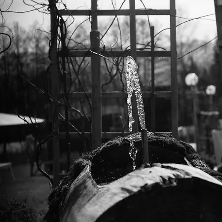 מלון Seestuben 3*