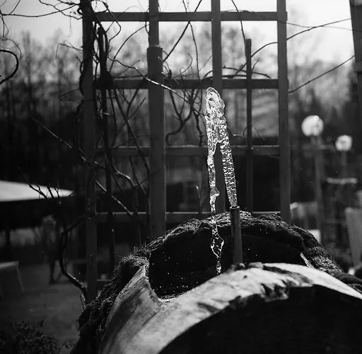 호텔 제스튜벤 3*